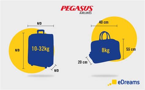 hand baggage pegasus|what is a cabin baggage.